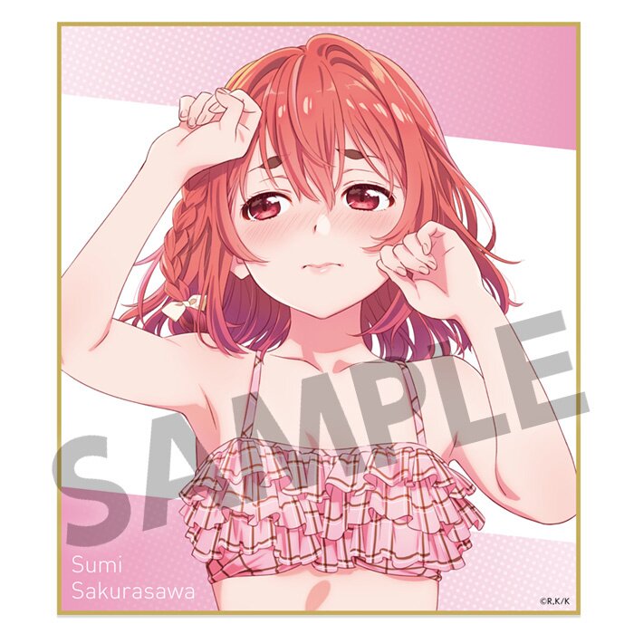 Asami Shitsumi (A) metal badge KUJI Hikido Kanojo, Okarishimasu Online  KUJI Swimsuit to Girlfriend E-2 Prize, Goods / Accessories