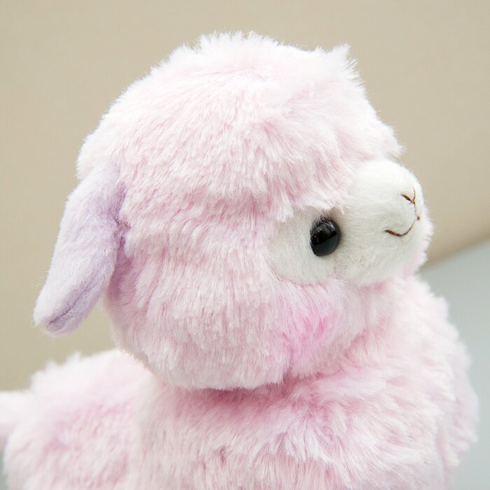 alpacasso collection