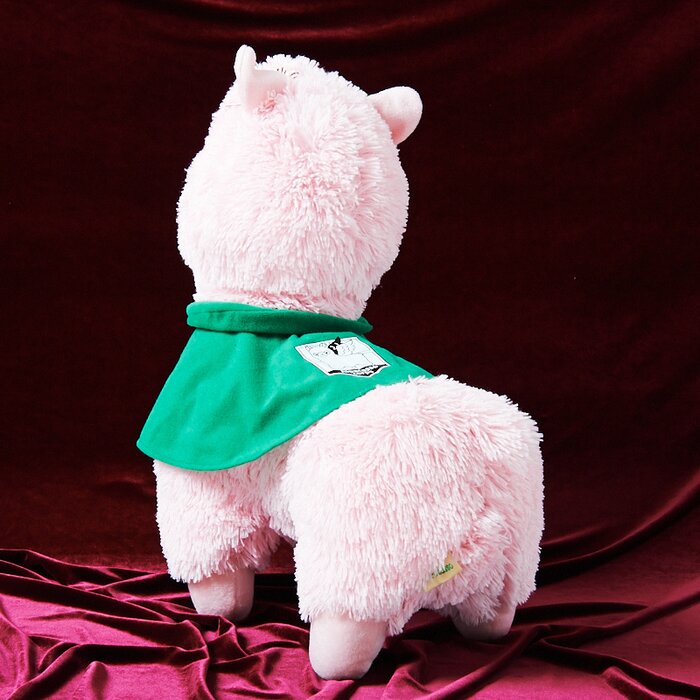 alpacasso corps