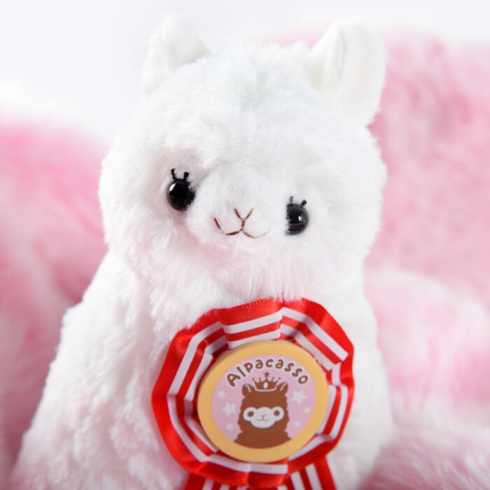 alpacasso collection