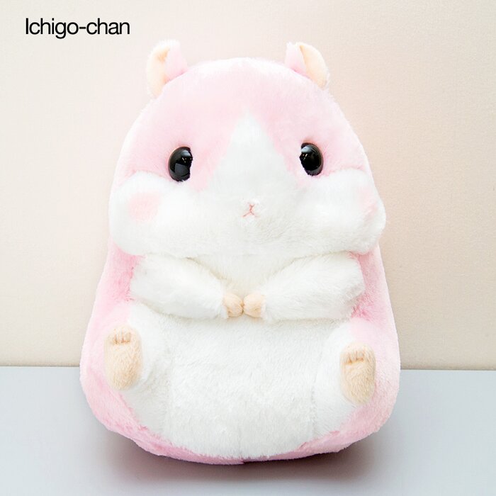 korohamu hamster