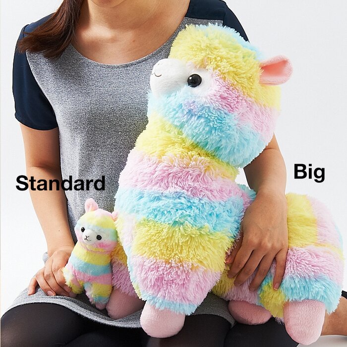 alpacasso rainbow