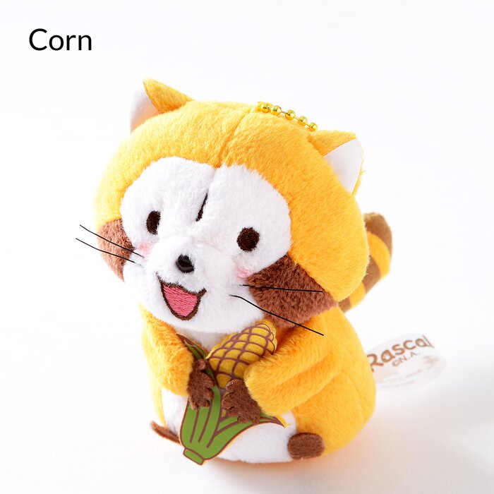 raccoon cuddly toy