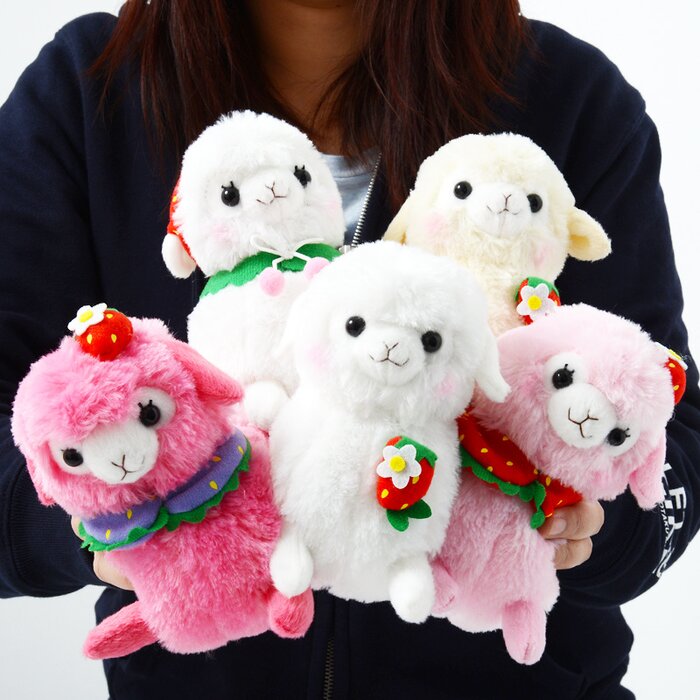 baby alpacasso