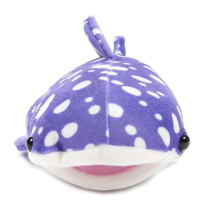 mochipuni whale shark