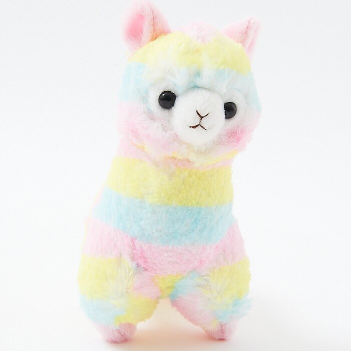 alpacasso rainbow