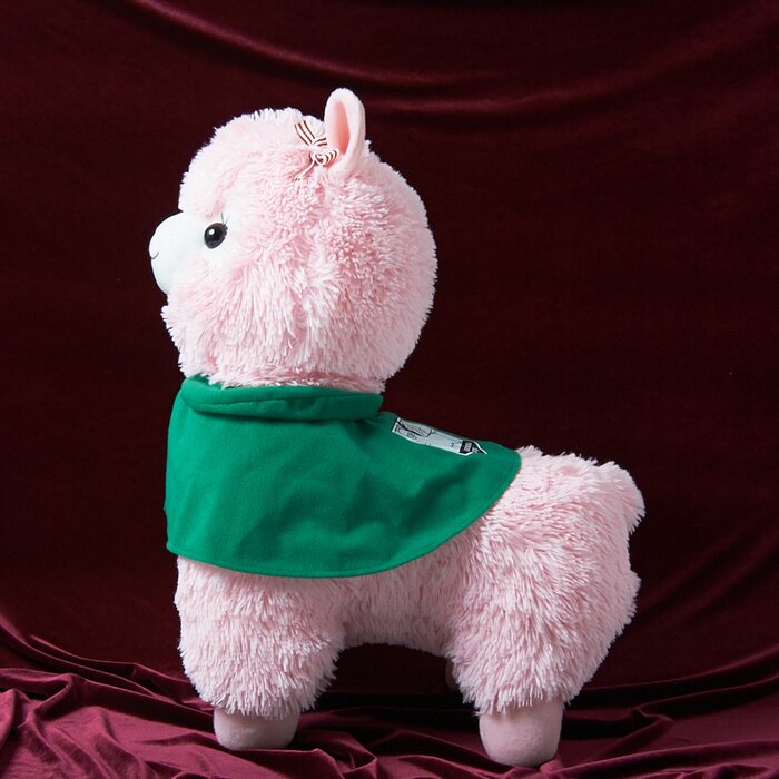 alpacasso corps