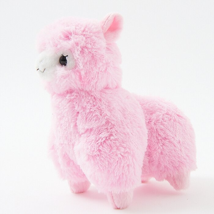 alpacasso rainbow