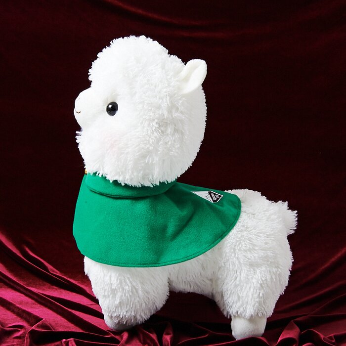 alpacasso corps