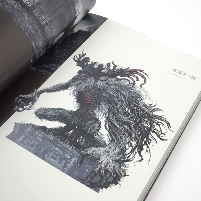 bloodborne tokyo gameshow expansion bloodborne tokyo gameshow expansion