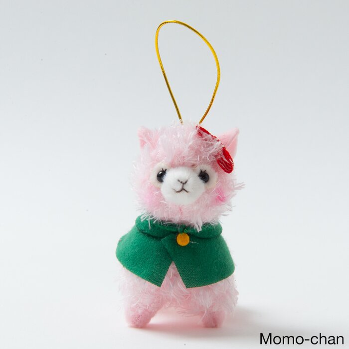 alpacasso corps