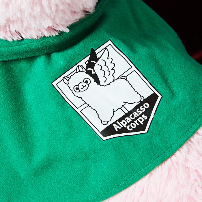 alpacasso corps