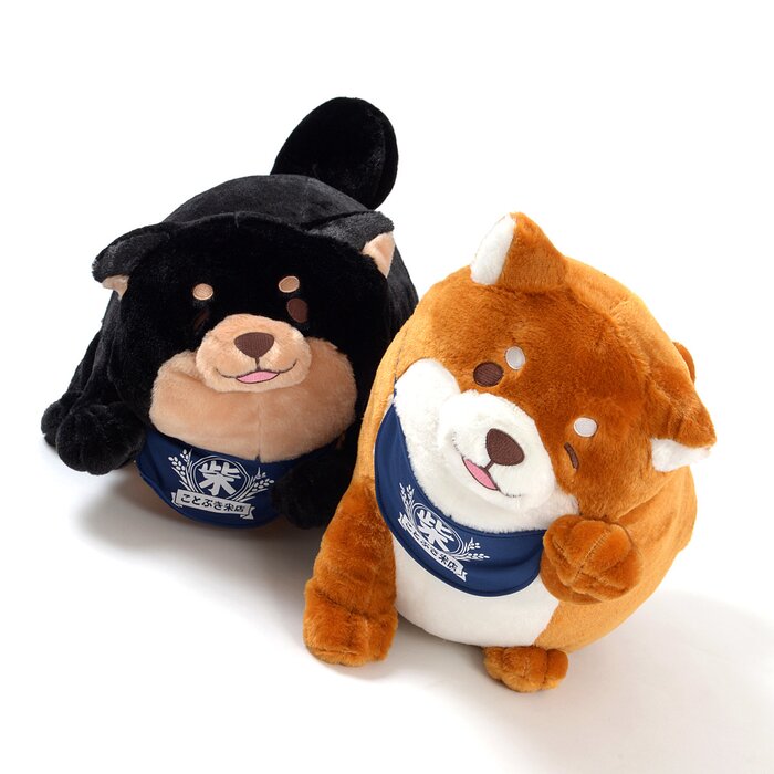 3 angry shiba plush