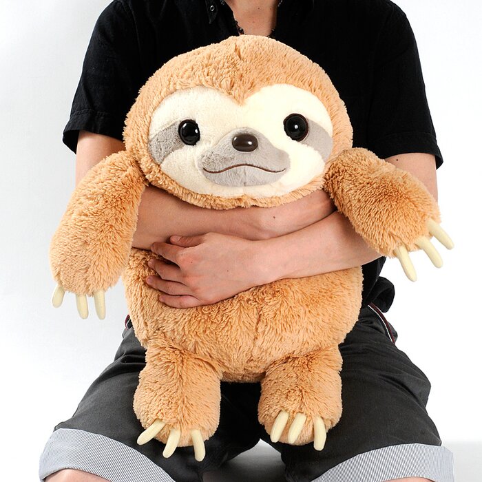 graduation sloth plush