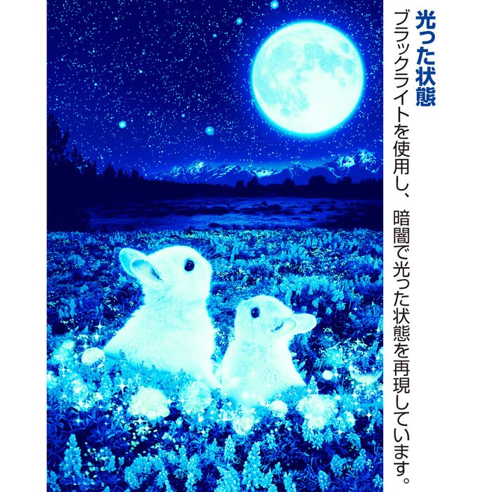 blacklight rabbit