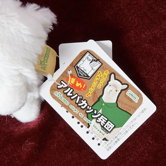 alpacasso corps