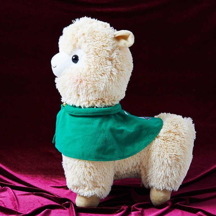 alpacasso corps