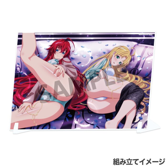 High School DxD Hero Visual Acrylic Plate: Rossweisse & offers Koneko NEW