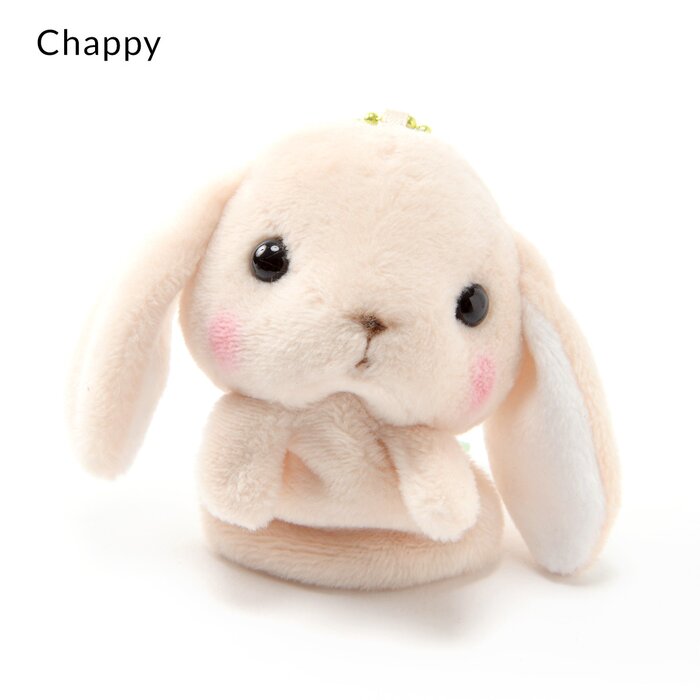 loppy rabbit