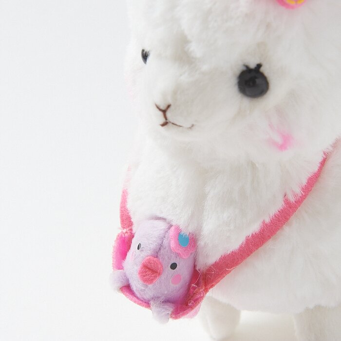 kids alpacasso