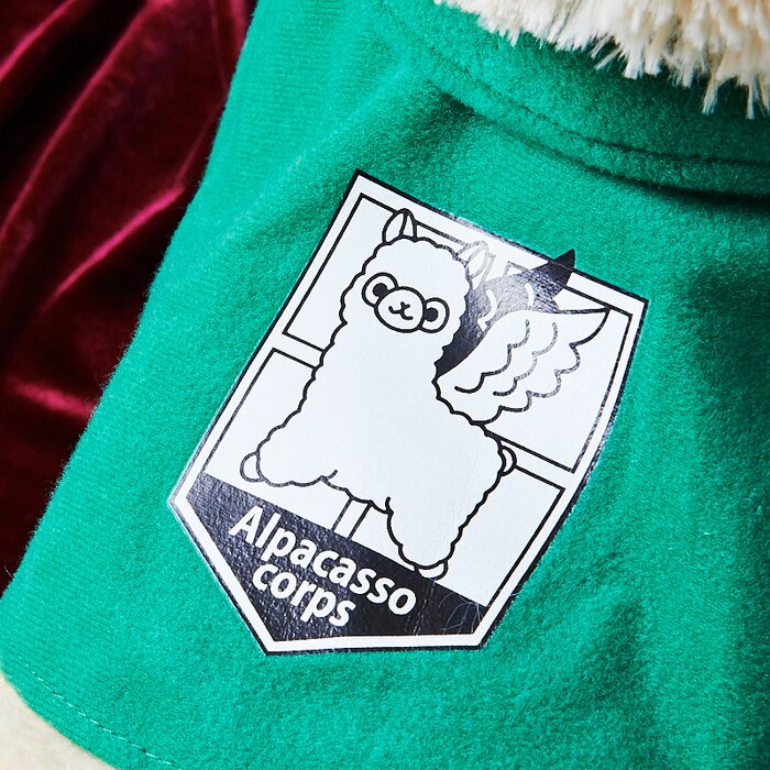 alpacasso corps