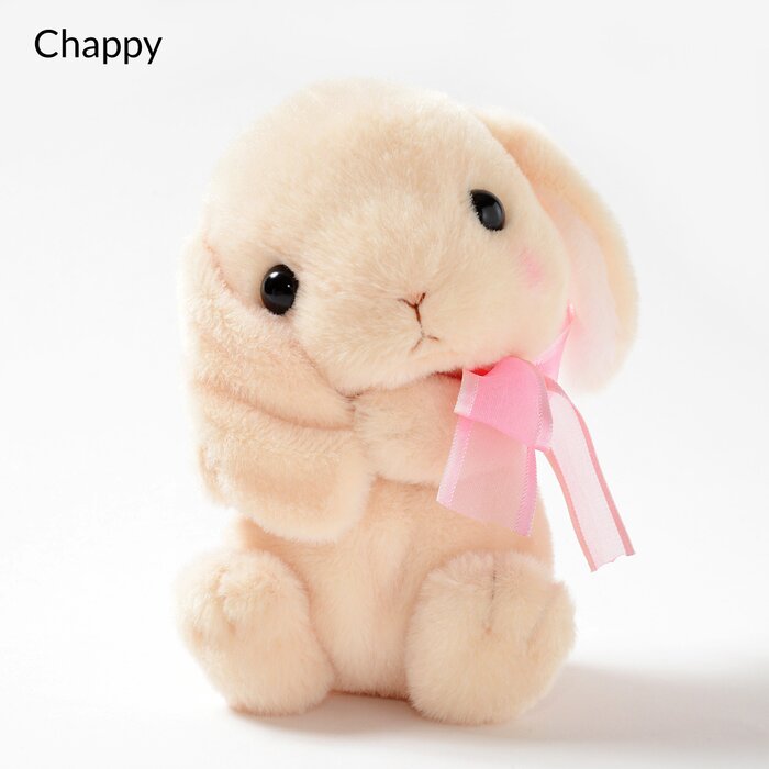 loppy rabbit