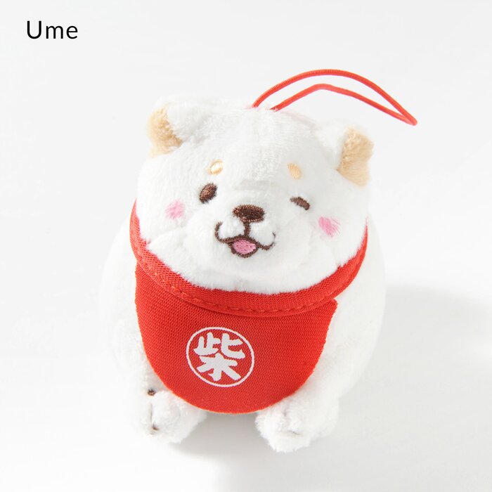 chuken mochi shiba plush