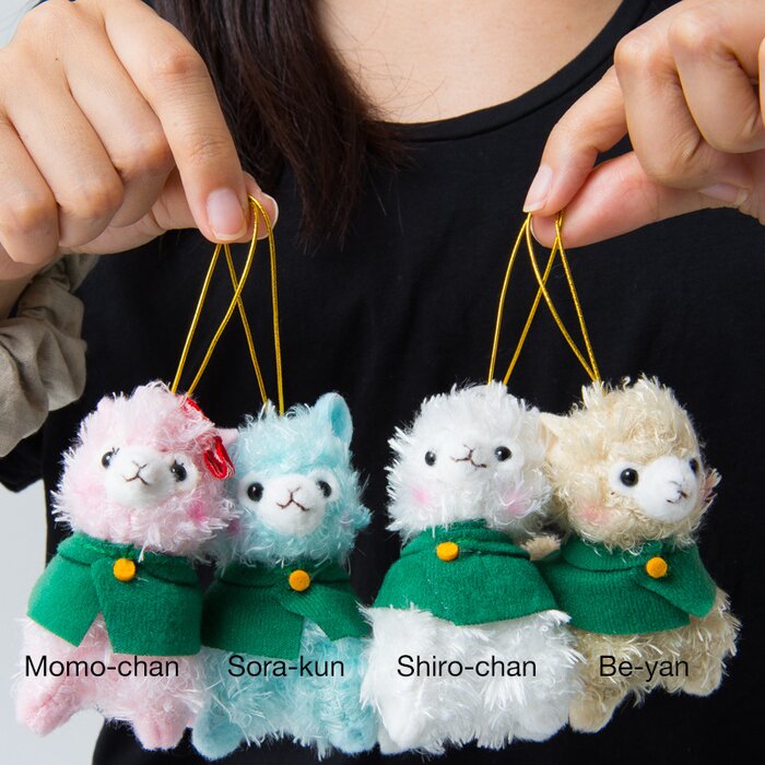alpacasso corps