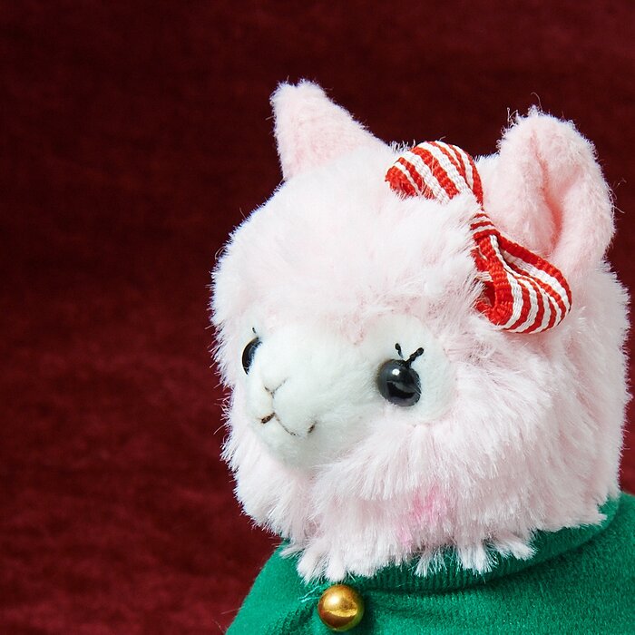 alpacasso corps