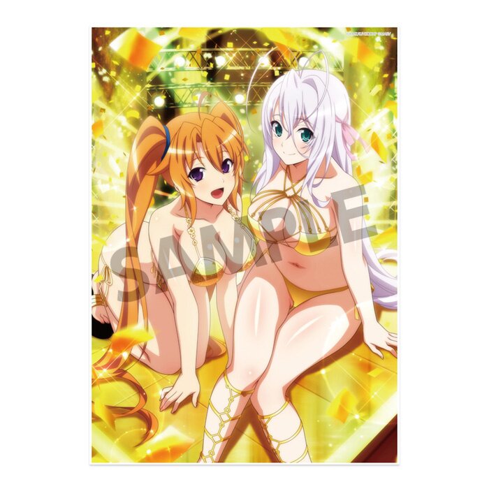 High School DxD Hero Visual Acrylic Plate: Rossweisse & offers Koneko NEW