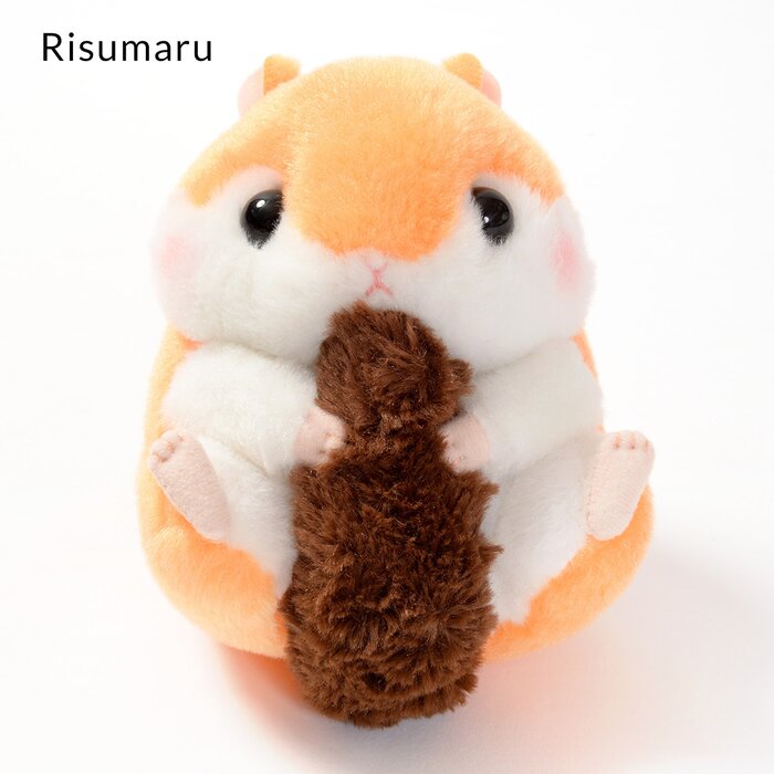 amuse collection hamster