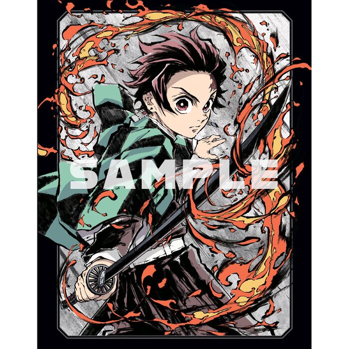 Demon Slayer Limited Edition Bluray Vol. 2 Tokyo Otaku Mode (TOM)