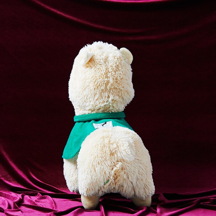 alpacasso corps
