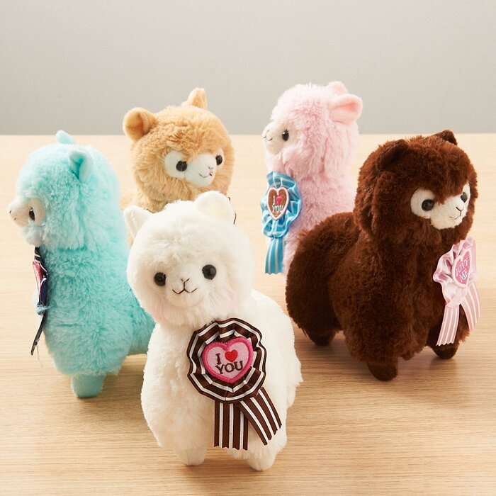 amuse collection alpacasso