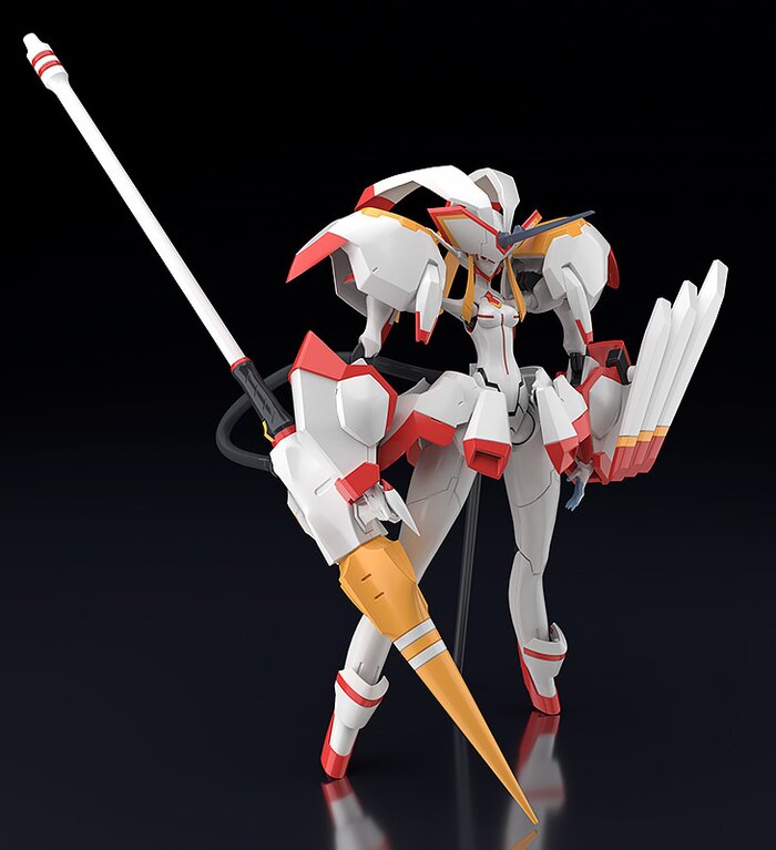 moderoid strelitzia