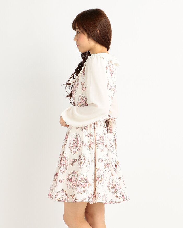 LIZ LISA 16th Anniversary Antique Rose Dress: LIZ LISA - Tokyo Otaku ...