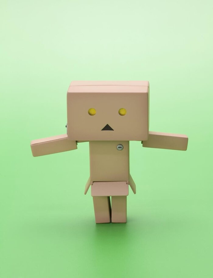 danboard model kit