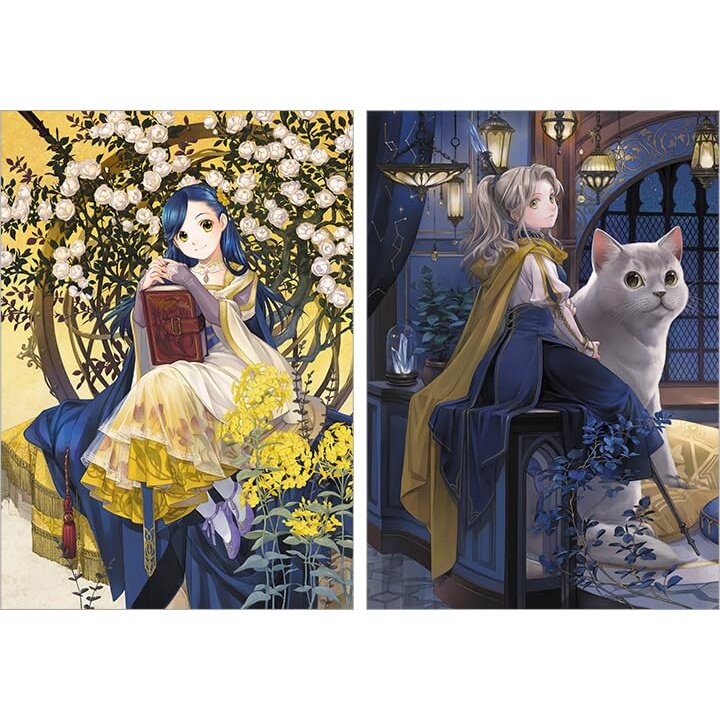 SHIRA TORI SHIN TARO アートブック Shinran: The Complete Illustrations | 青幻舎 SEIGENSHA Art