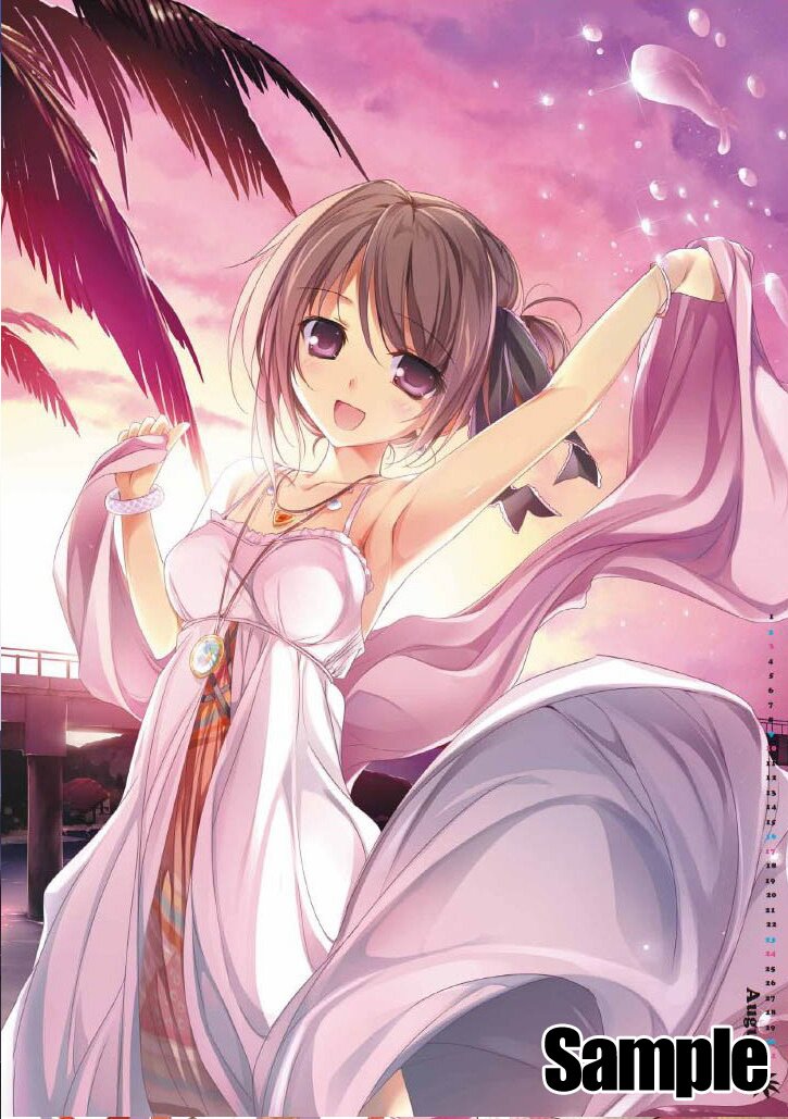 Karory Calendar 2014 Tokyo Otaku Mode TOM 