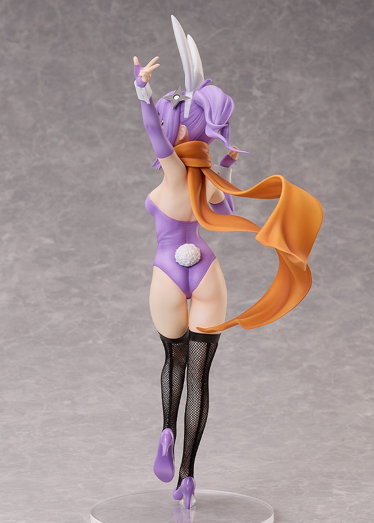 A Ninja and an Assassin Under One Roof Satoko Kusagakure: Bunny