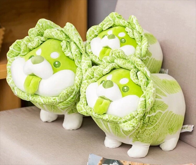 cabbage dog plush