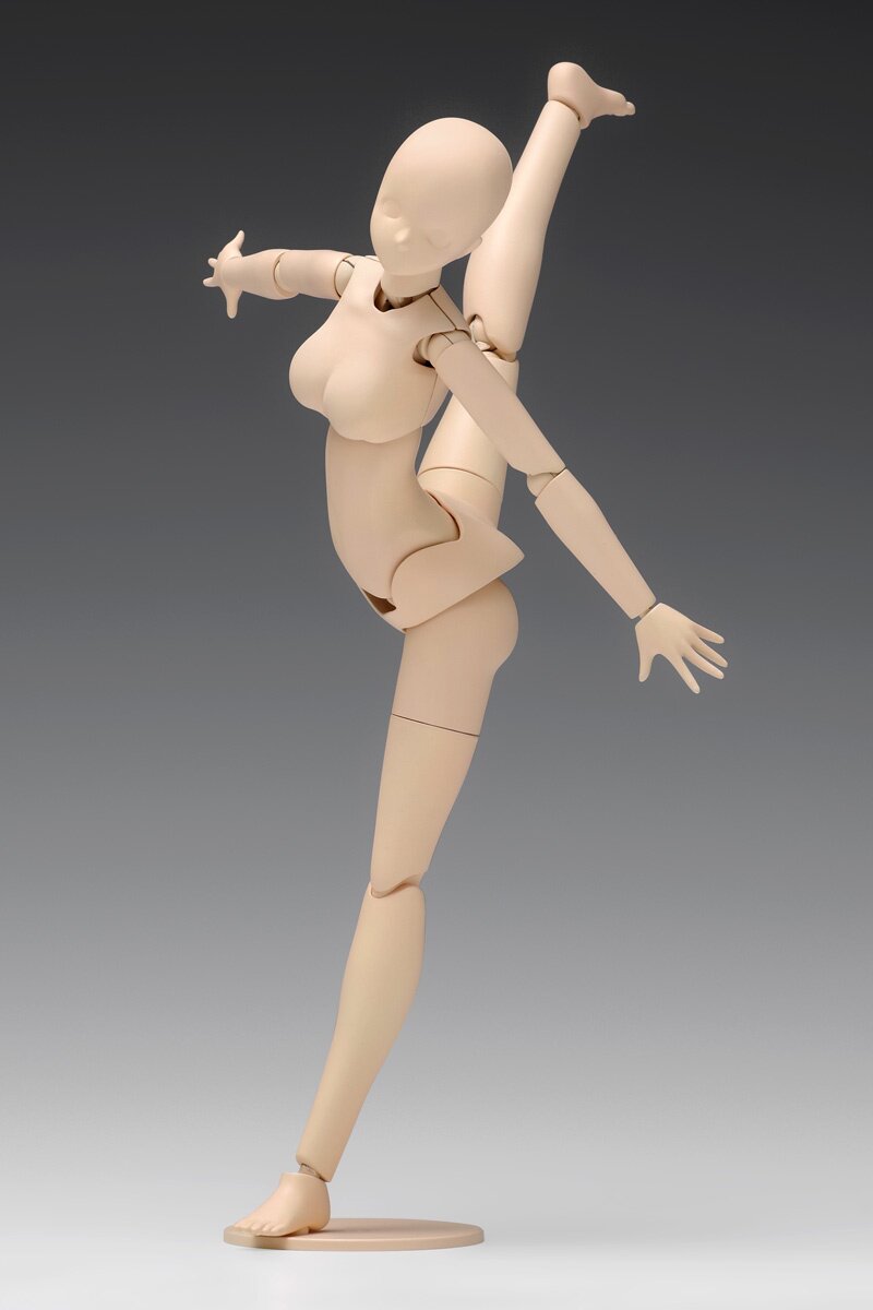 Movable Body Female Type (C Version) Plastic Model Kit 1/12 WAVE - MyKombini