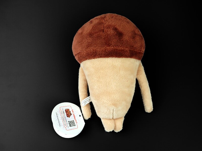 nameko plush