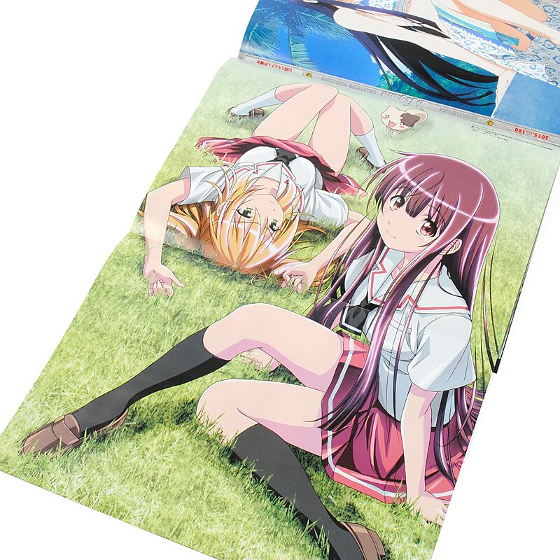 Anime Spring Season Icon , High School DxD BorN, anime DVD case