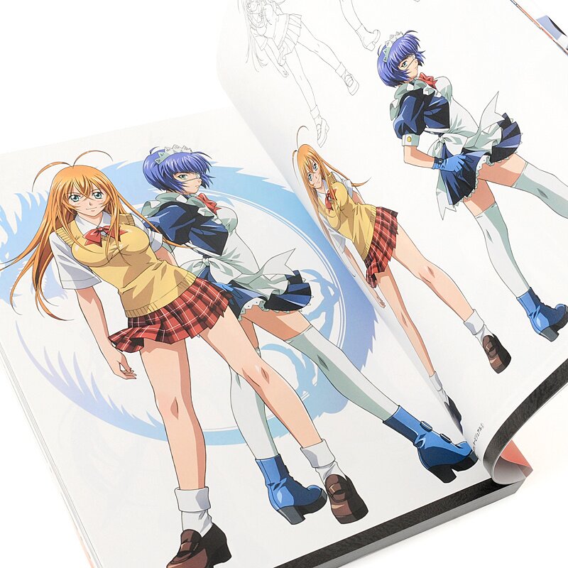 New Shin Ikki Tousen First Limited Edition DVD Booklet Post Card