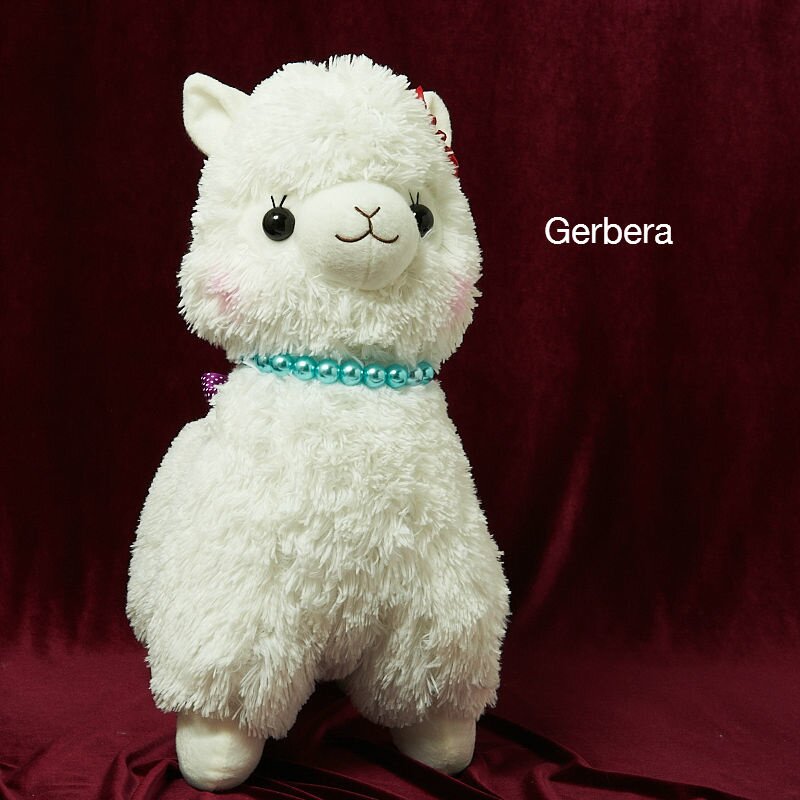 alpacasso large