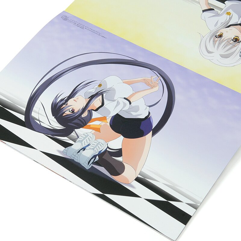 HIGHSCHOOL D X D Visual Collection Art Set Book w/Bath Poster Japan Book  2014