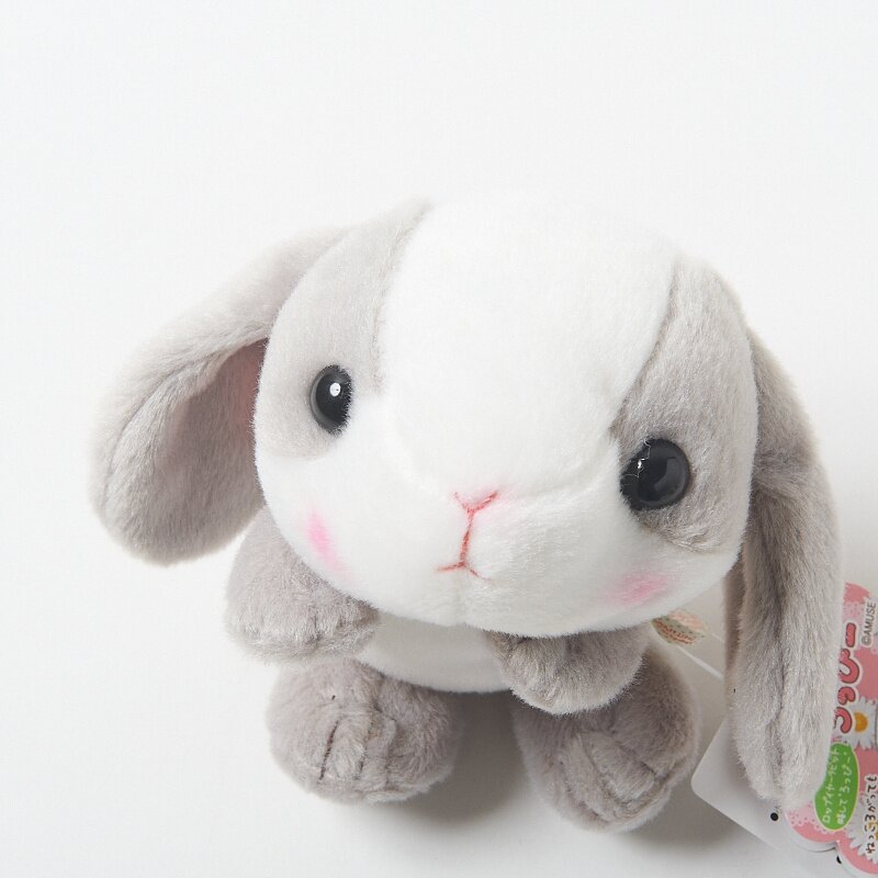 loppy rabbit