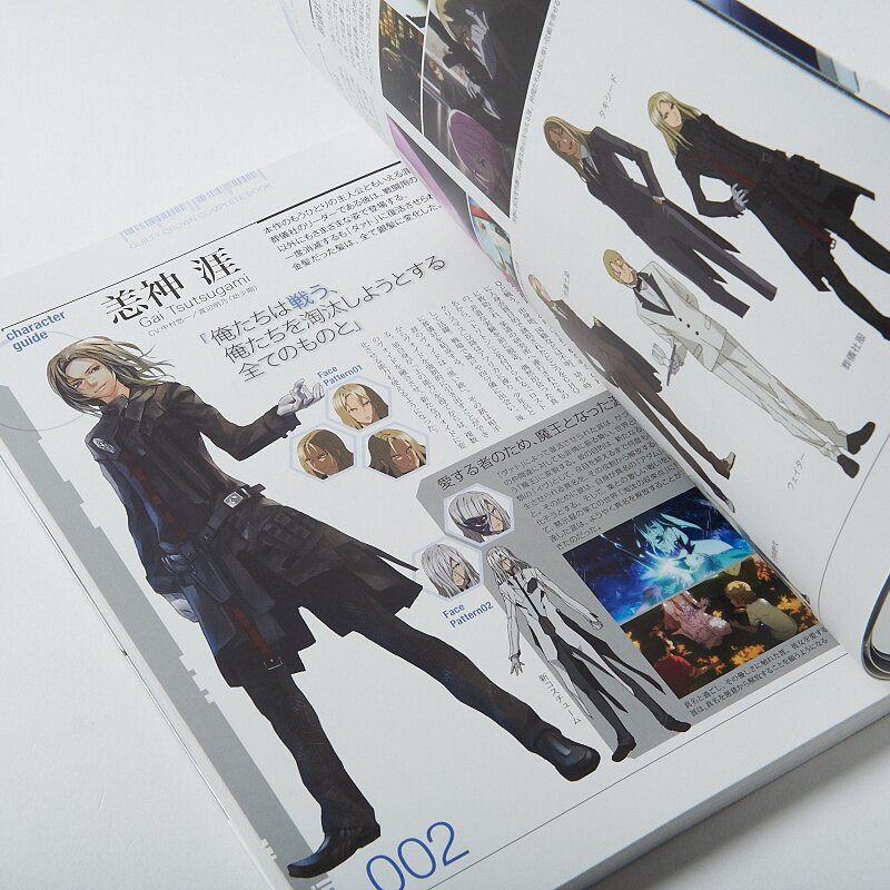 Guilty Crown Visual Collection Art Book Set