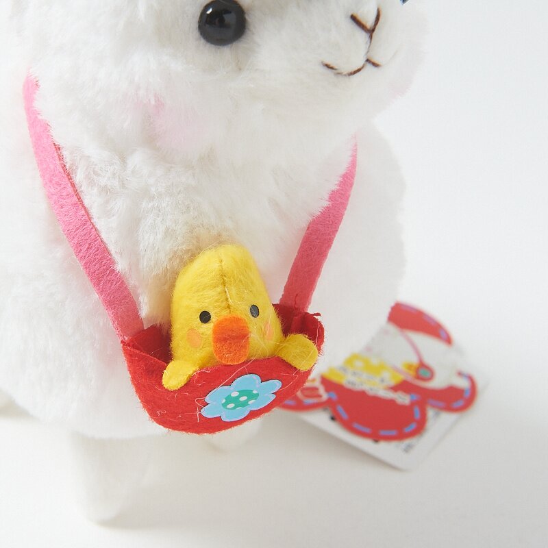 kids alpacasso